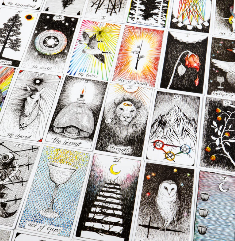 The Wild Unknown Tarot Card Deck - Blackthorn 31