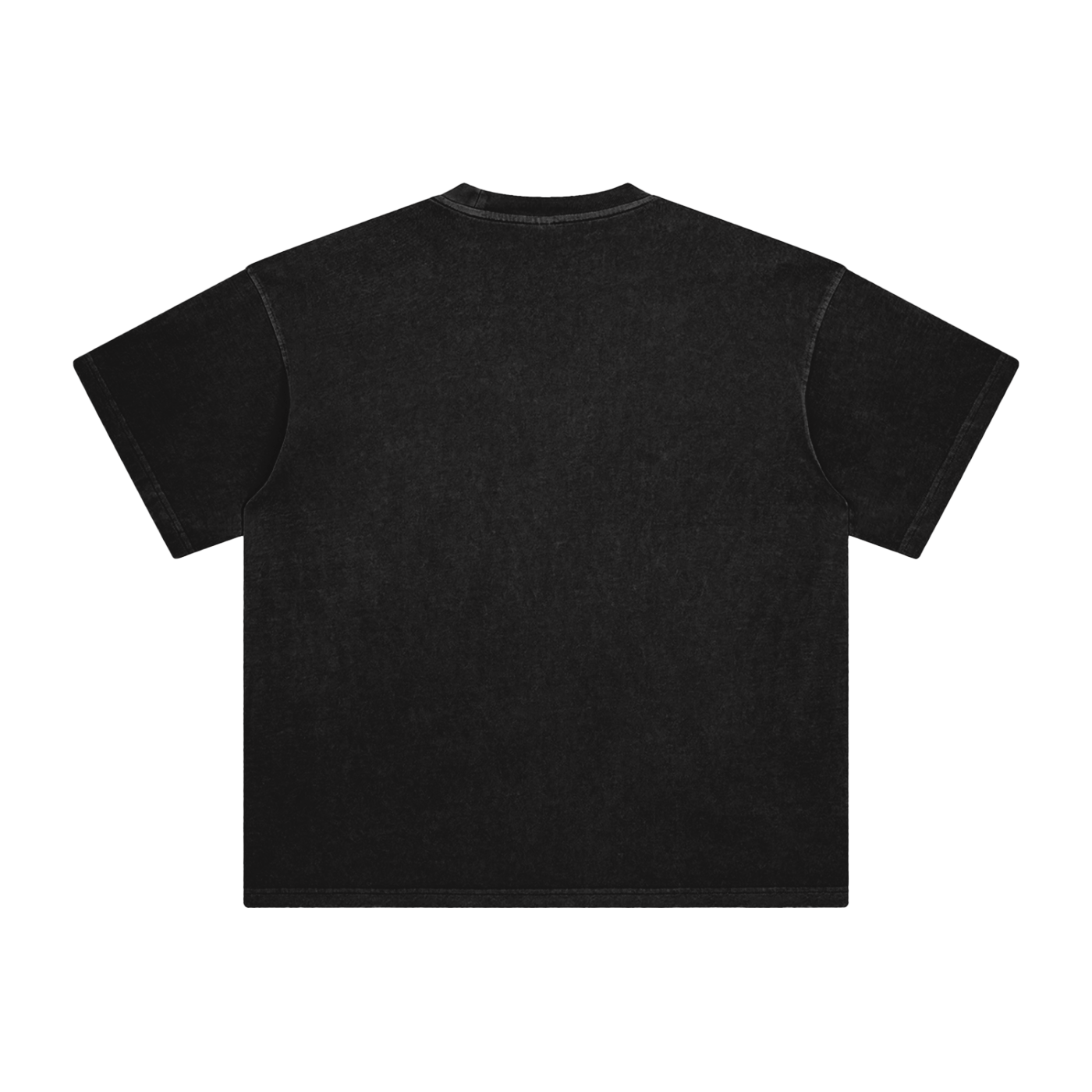 Salem Apothecary Enzyme Washed T-Shirt - Blackthorn 31